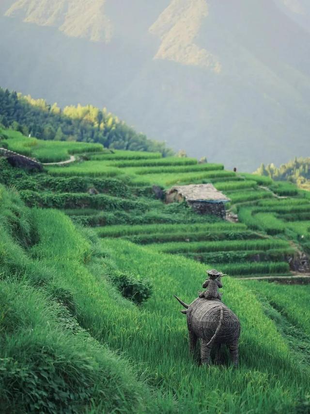 三天自驾短途旅行推荐（即刻就出发自驾3h即可到达）(2)