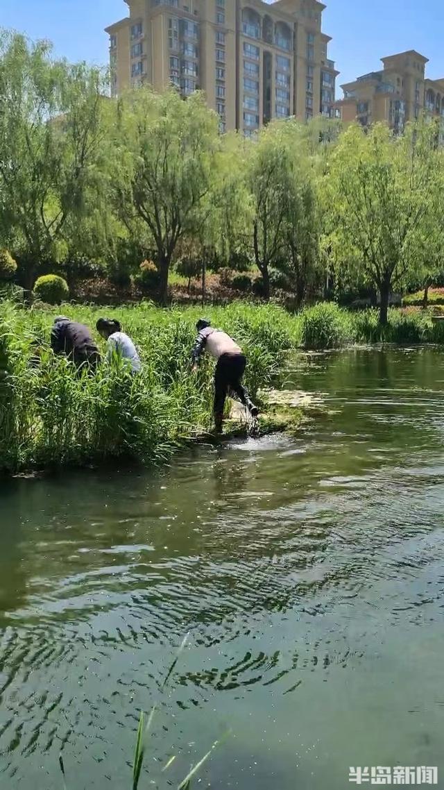 一起走过的青岛 感受山海与自由（半岛聚焦假期）(3)