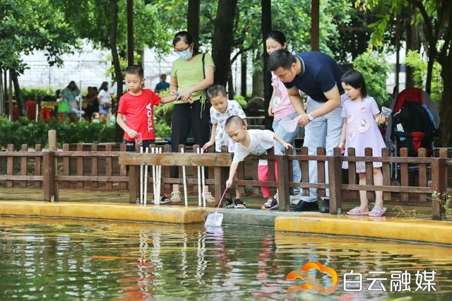 山水青峰任您游（火出圈快上车来趟白云乡村游）(6)