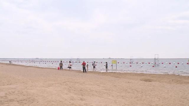 上海金山城市沙滩免费开放时间（金山城市沙滩泳区）(6)