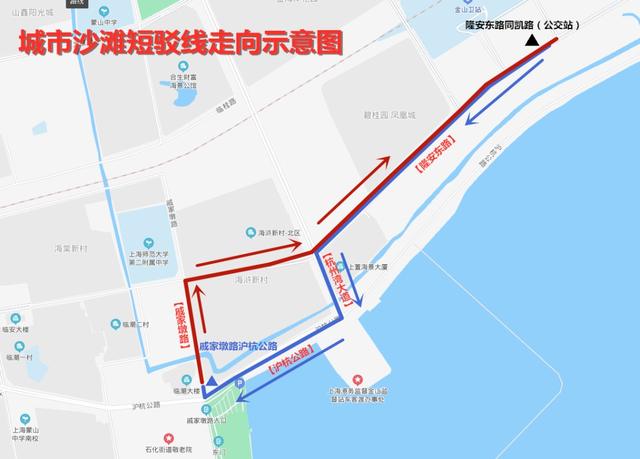 金山区城市沙滩开放时间（金山城市沙滩泳区今天正式对外开放）(13)