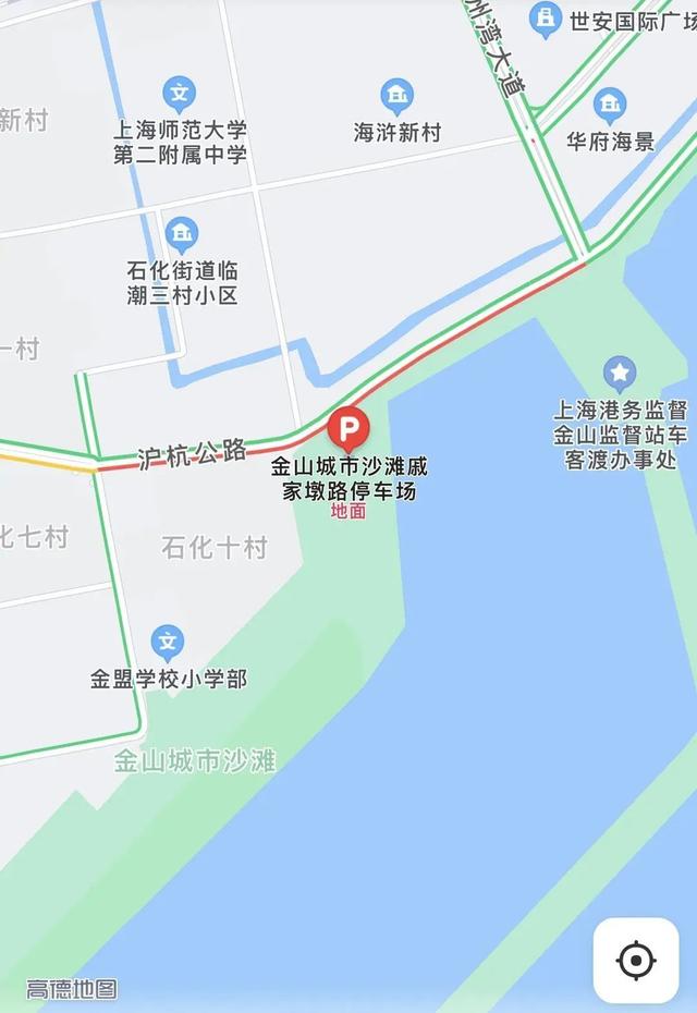 金山区城市沙滩开放时间（金山城市沙滩泳区今天正式对外开放）(16)