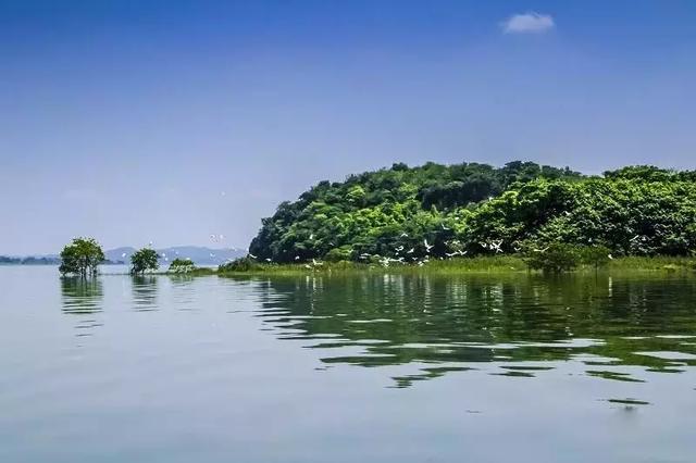 九江小众旅游必去十大景点（九江25个最适合一日游的免费景点）(23)