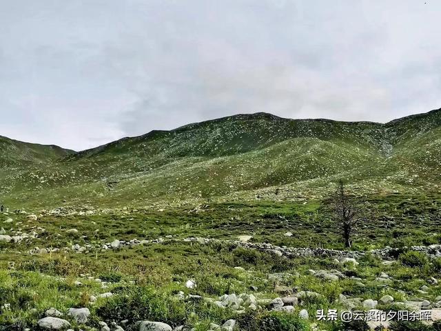 打卡康定木格措景区纯属娱乐（康定情歌木格措景区跟团一日游）(22)