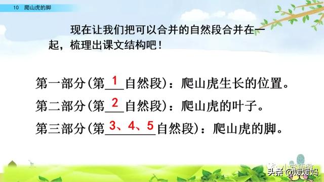 4年级上册语文第十课爬山虎的脚（部编版四年级语文上册第10课爬山虎的脚课件及同步练习）(21)