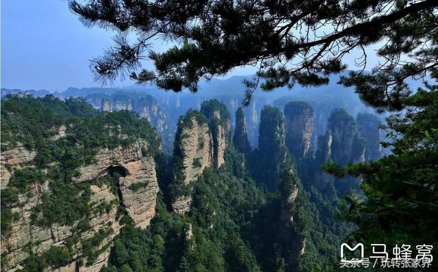 张家界凤凰古城4天3晚旅游攻略（闺蜜同行的张家界森林公园）(24)