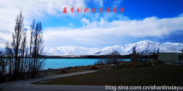 新西兰南岛旅游攻略自由行（夏季到新西兰来看雪）(6)